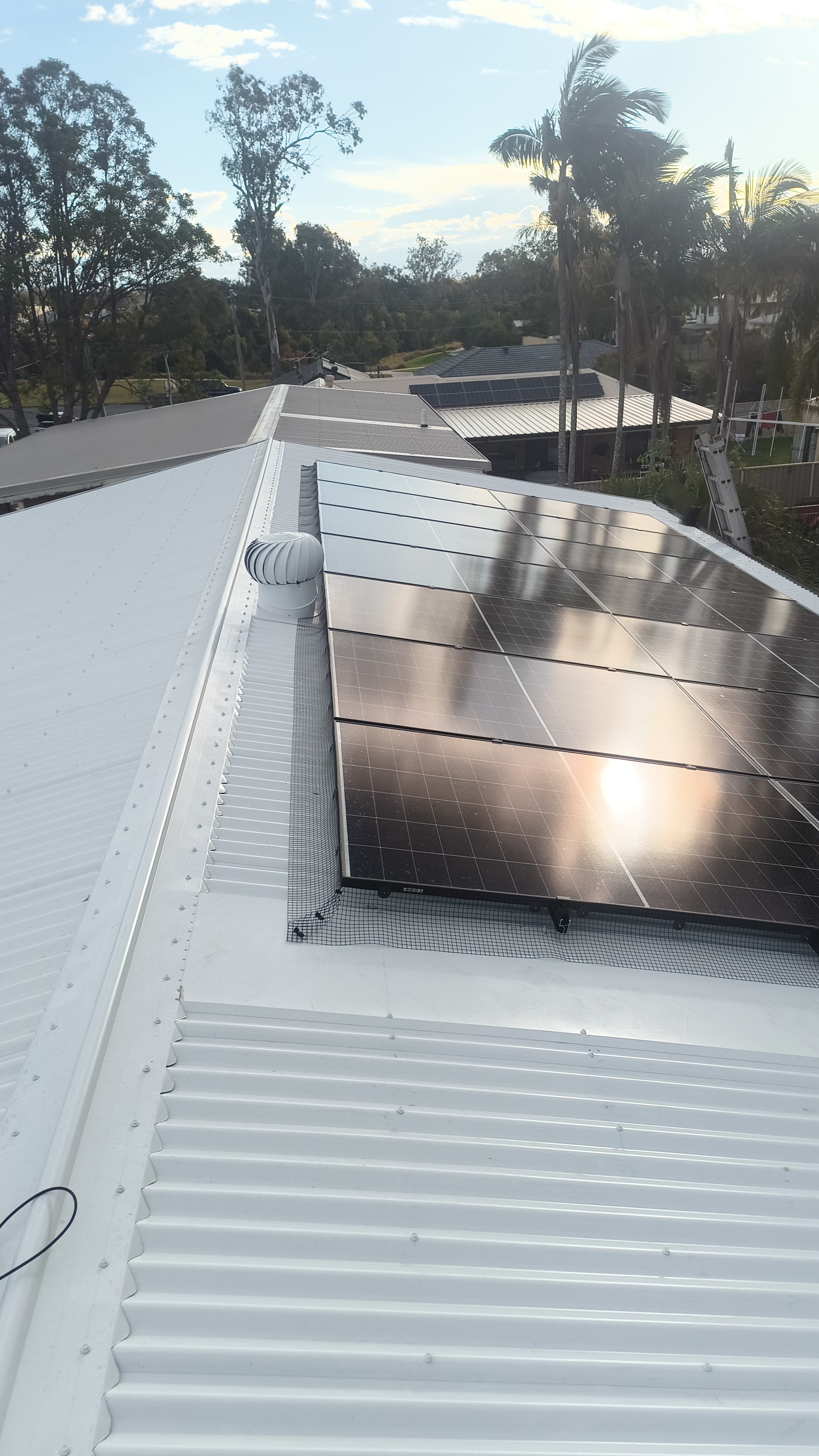 Bird Proofing Mesh Install