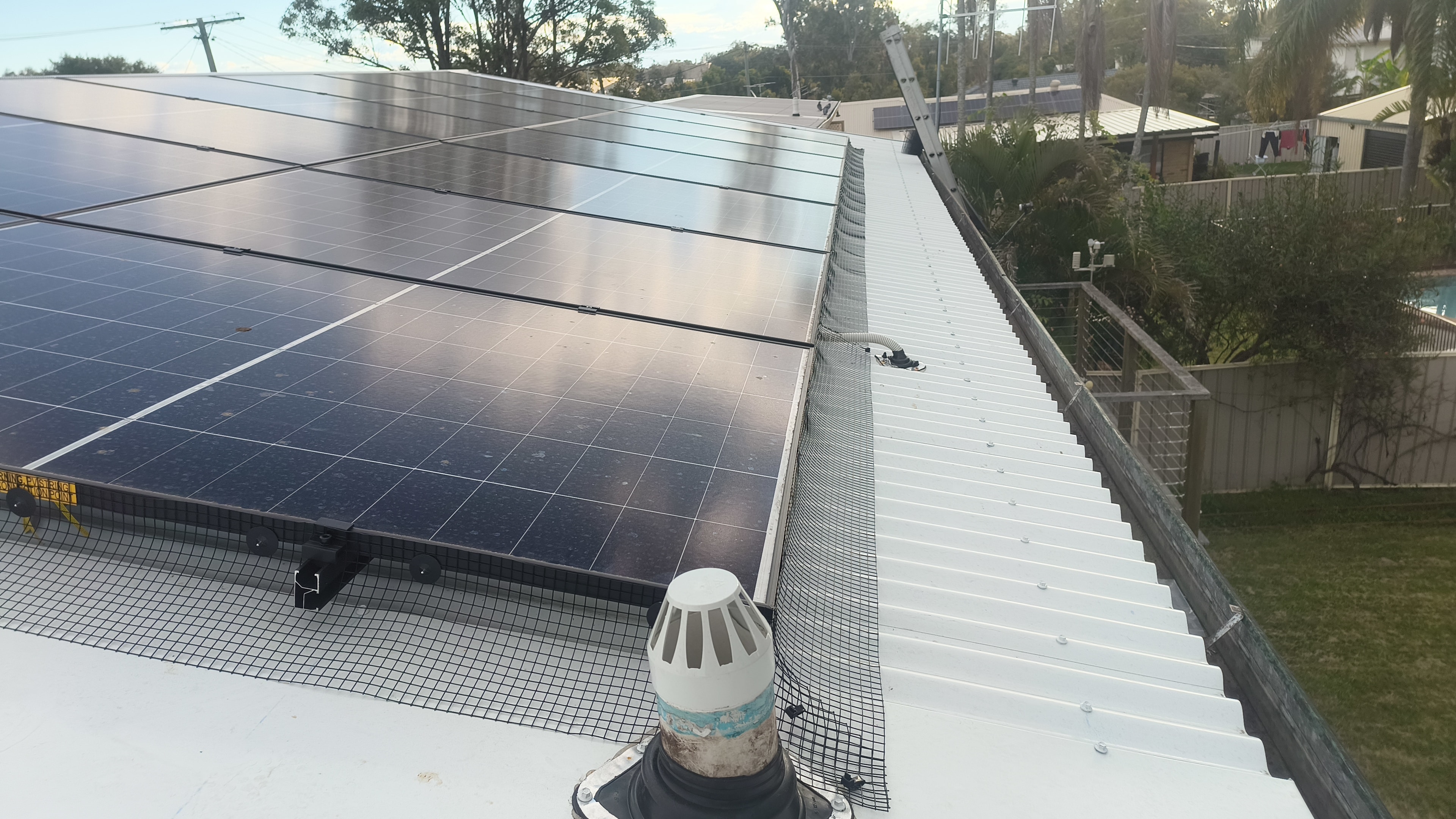 Bird Proofing — Grey Roof